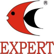 Expert