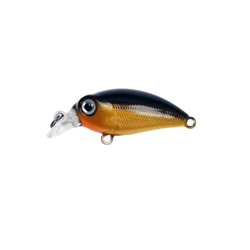 KONGER WOBLER SQUAB DIVER 005