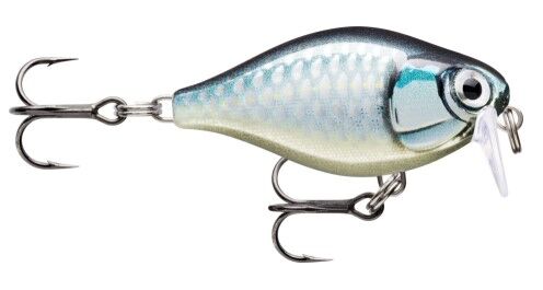 RAPALA WOBLER X-LIGHT CRANK SHALLOW FNCS03 BAP