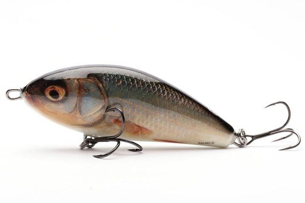 SALMO WOBLER FATSO FLOAT 10 REAL ROACH