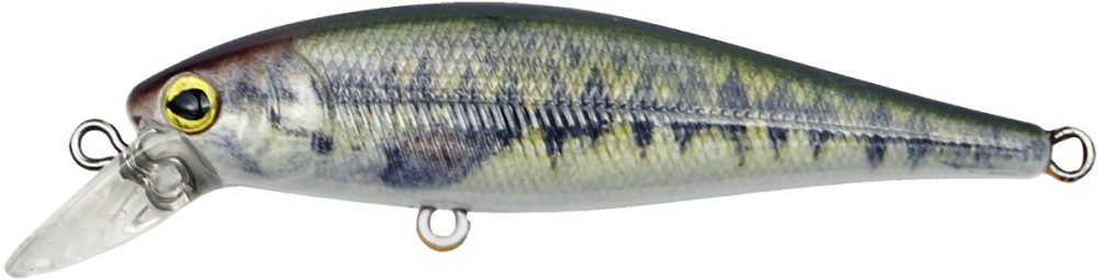 KAMATSU WOBLER DRIFTIN SHAD DSH 65 SP  008