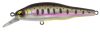 KAMATSU WOBLER RUNNING MINNOW 80 S SINKING 005