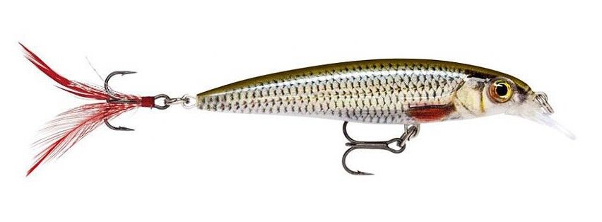 RAPALA WOBLER X-RAP 4cm LIVE ROACH